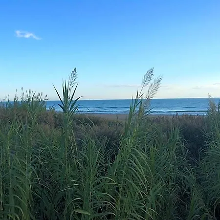 Florida