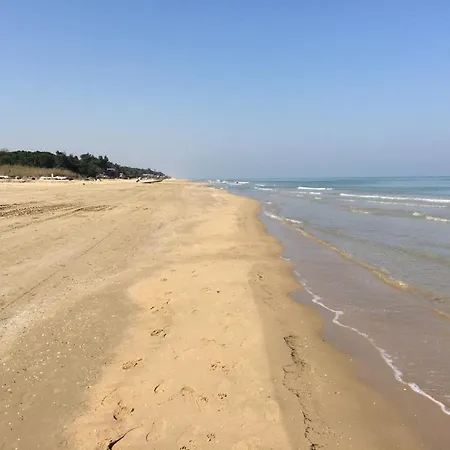 Florida 3*