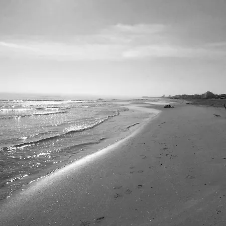 Florida Silvi Marina