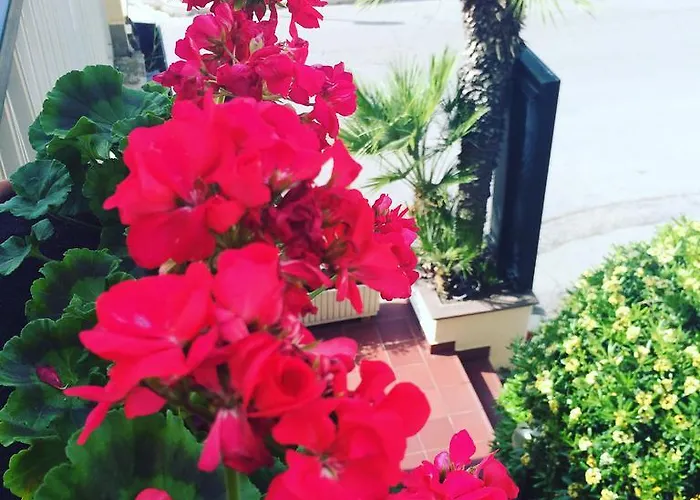 Hotell Florida Silvi Marina