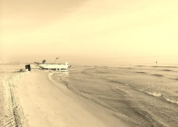 Florida Silvi Marina