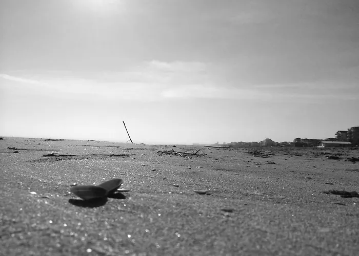 Florida Silvi Marina